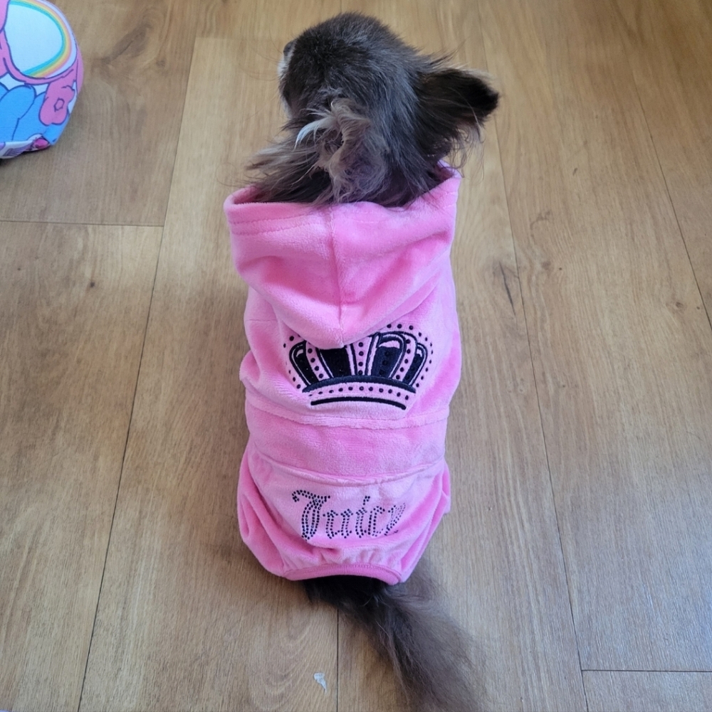Juicy Couture Dog Tracksuit